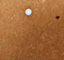 LEATHERBOARD - NATURAL