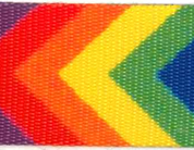   POLYESTER WEBBING WITH HEAT-TRANSFER  