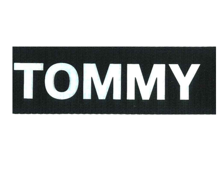    NYLON WEBBING WITH SILK-PRINT  