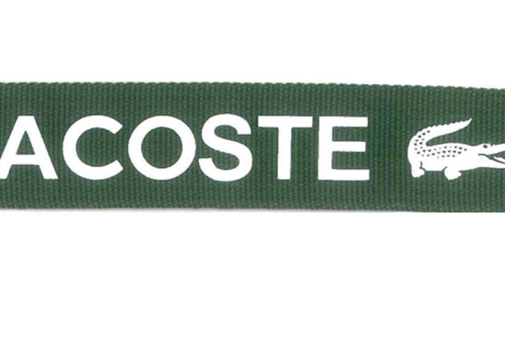   POLYESTER WEBBING WITH SILK-PRINT 