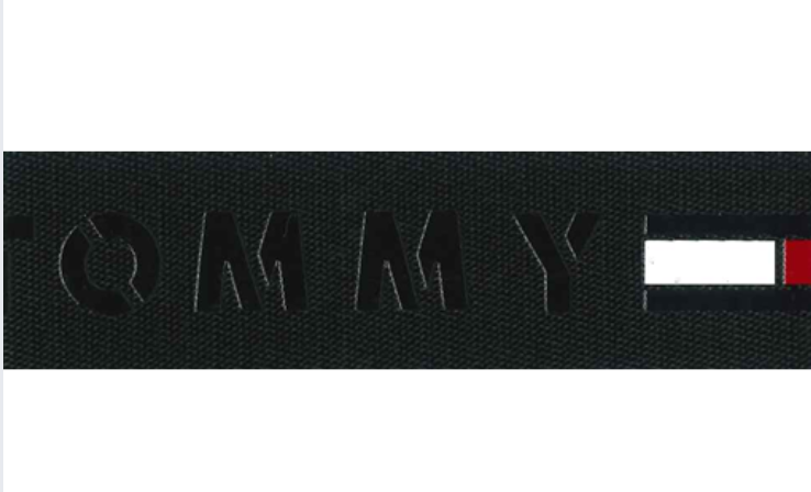   WEBBING WITH SILK-PRINT 