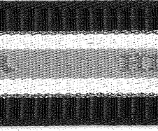 POLYESTER JACQUARD WEBBING WITH MEETALLIC