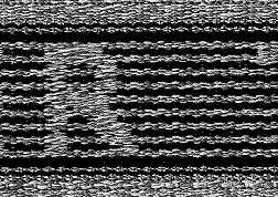  POLYESTER JACQUARD WEBBING WITH MEETALLIC 